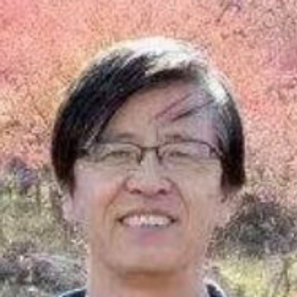 荔枝传统的照片