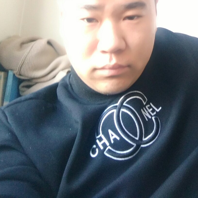 任性乌龟的照片