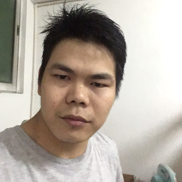 稳重的大熊猫的照片