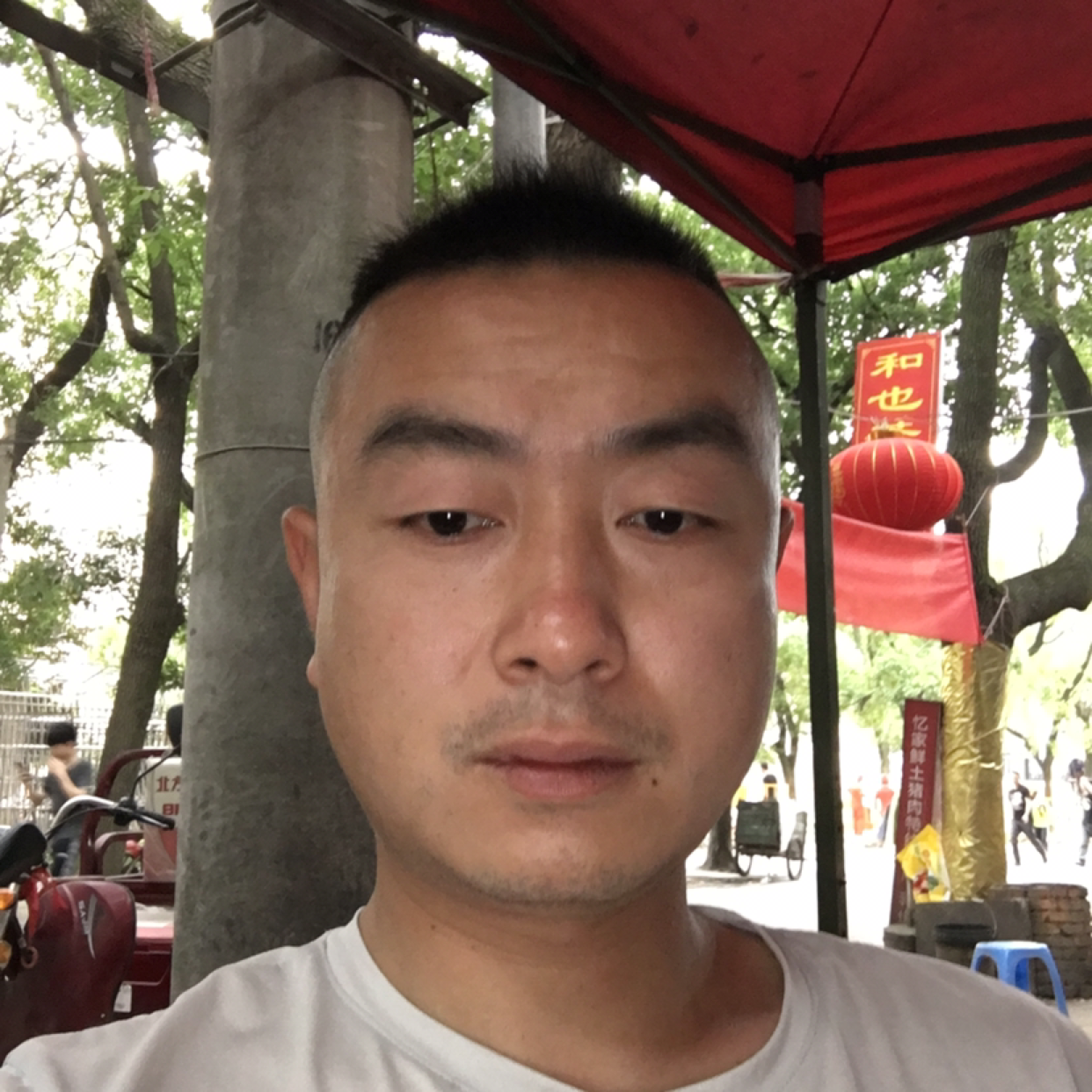 画板向繁荣的照片