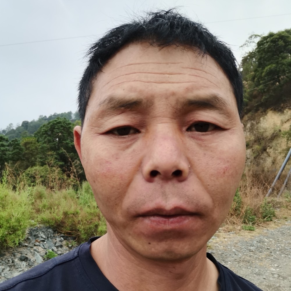 单纯用狗的照片