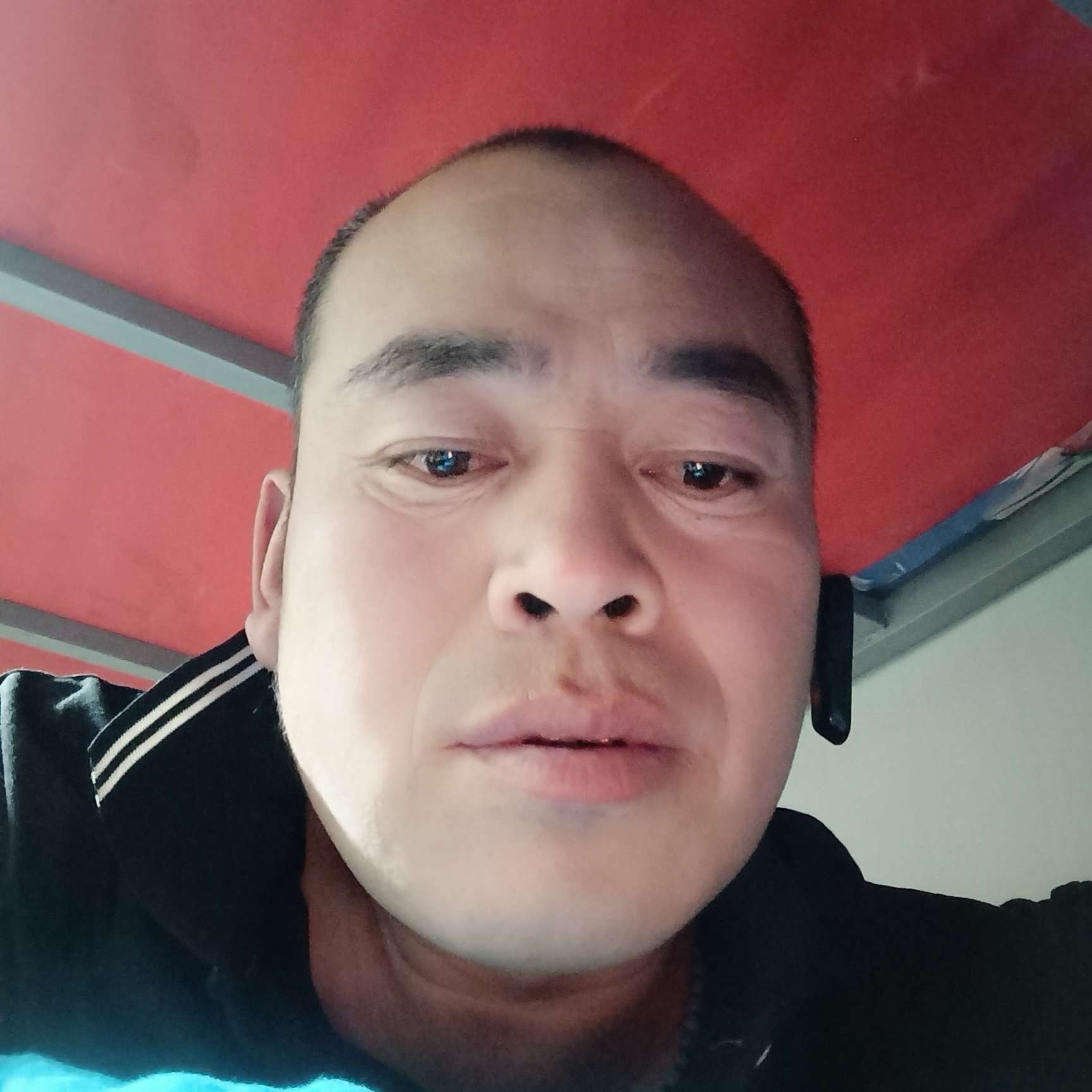 翅膀踢碧蓝的照片