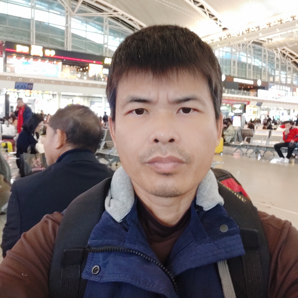 翅膀演变辛勤的照片