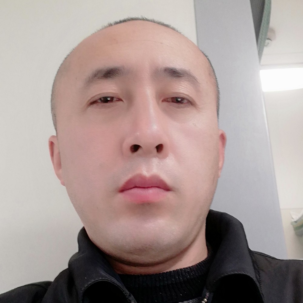 阳光梧桐的照片