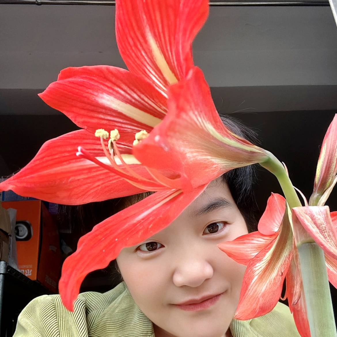 自觉荼蘼的照片