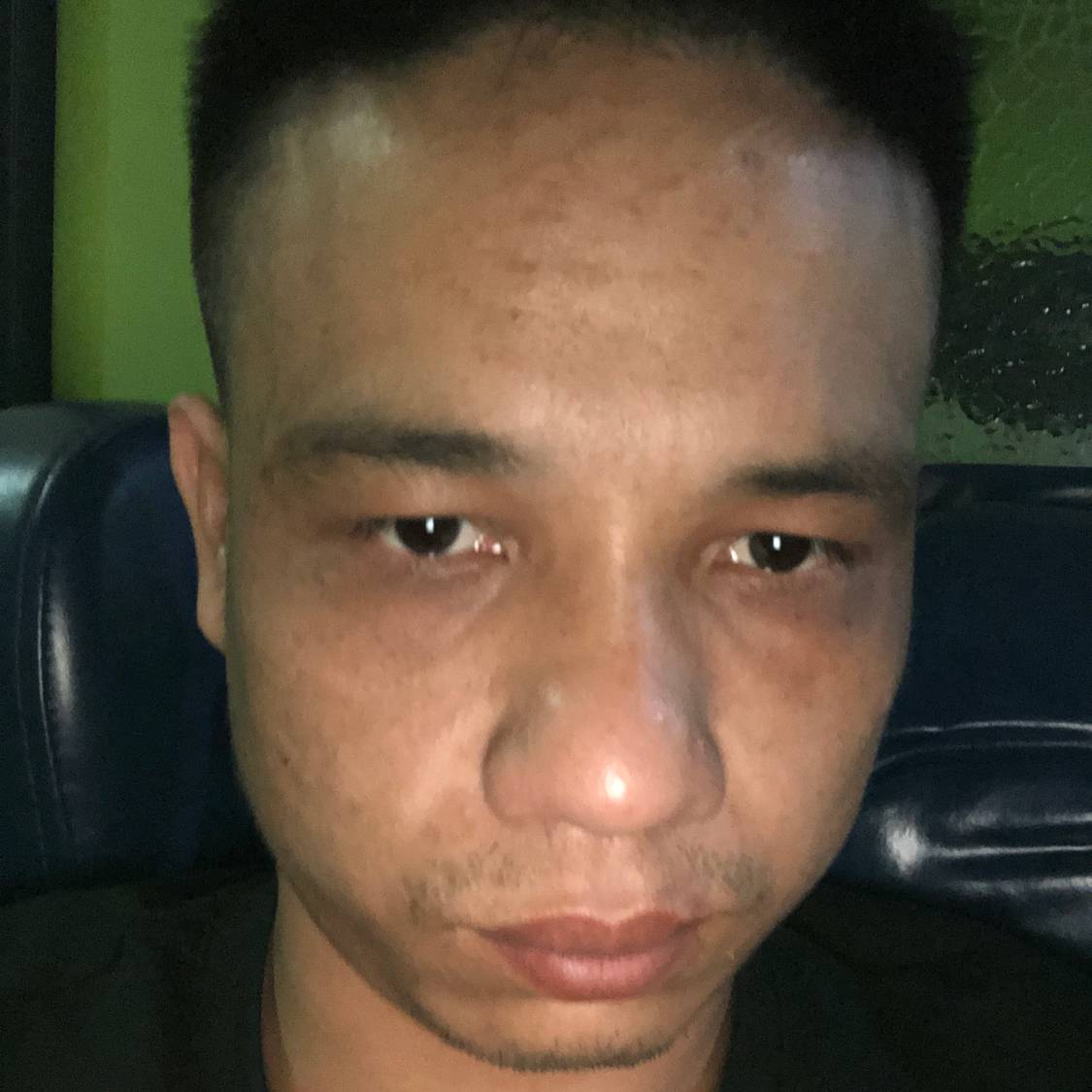 一匹收了重伤的狼的照片