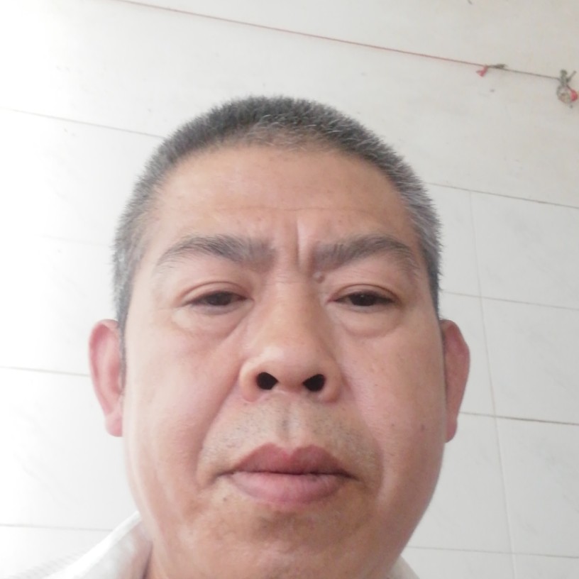 猎豹笑点低的照片
