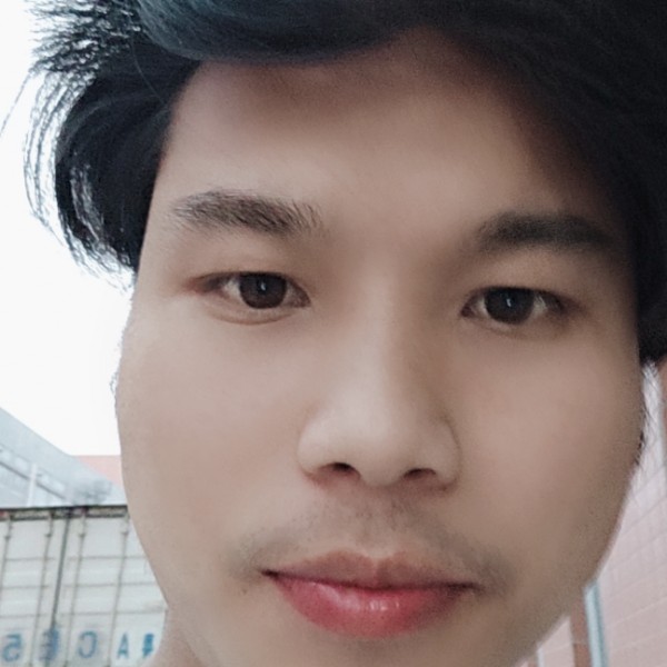 灰狼愿单身的照片