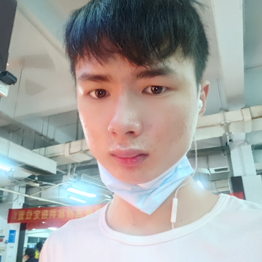 专一回眸含羞草的照片