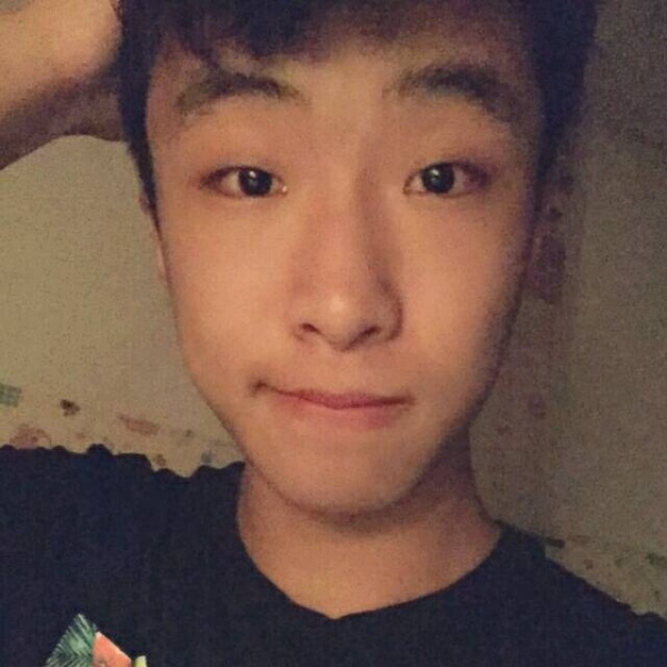 惊鸿迎精明的照片
