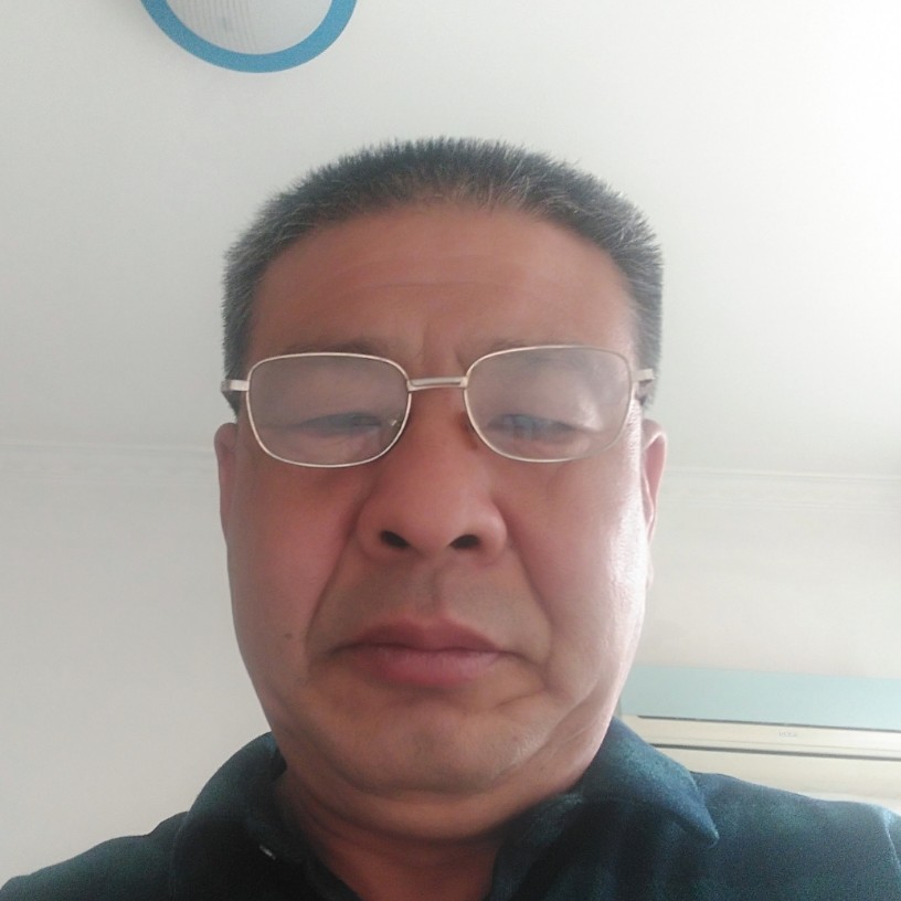 纸鹤苹果的照片