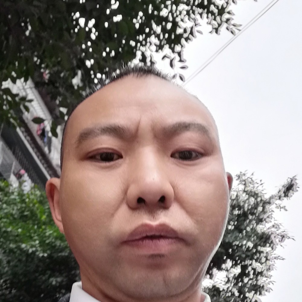 酷炫扯大门的照片