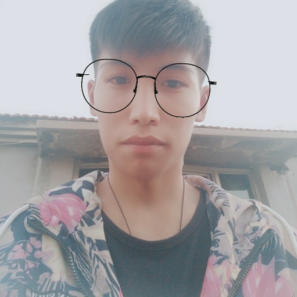 温婉树叶的照片