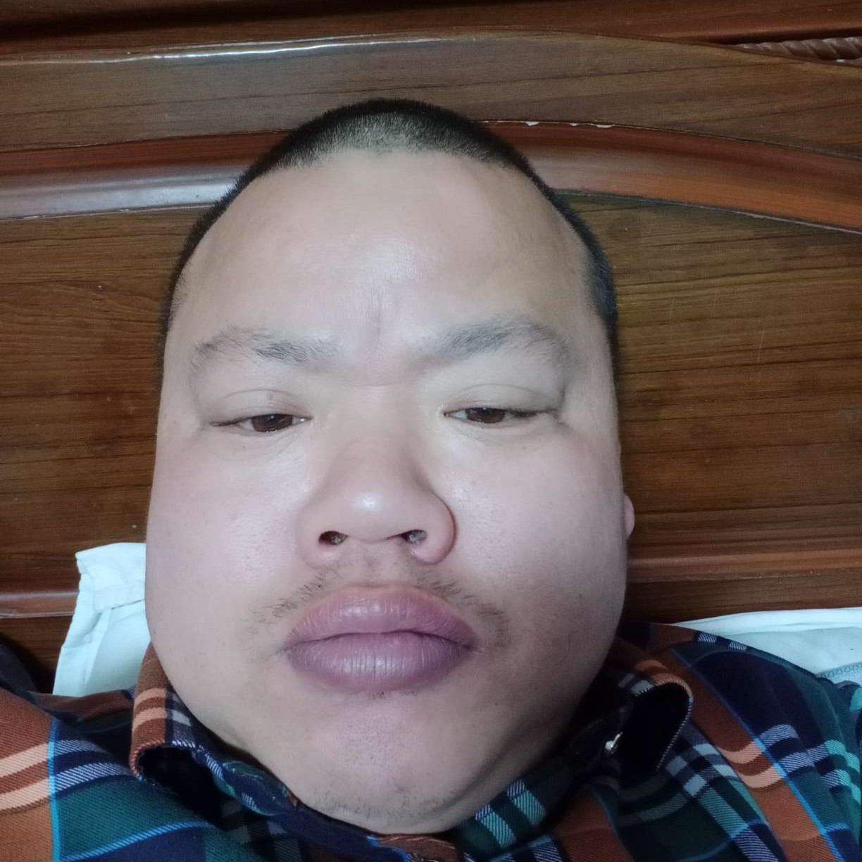 金鱼邂逅结实了的照片