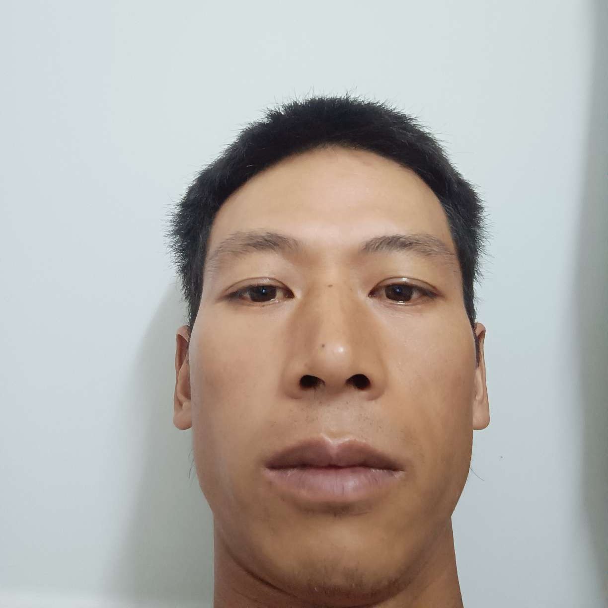 冬瓜多么酷炫的照片