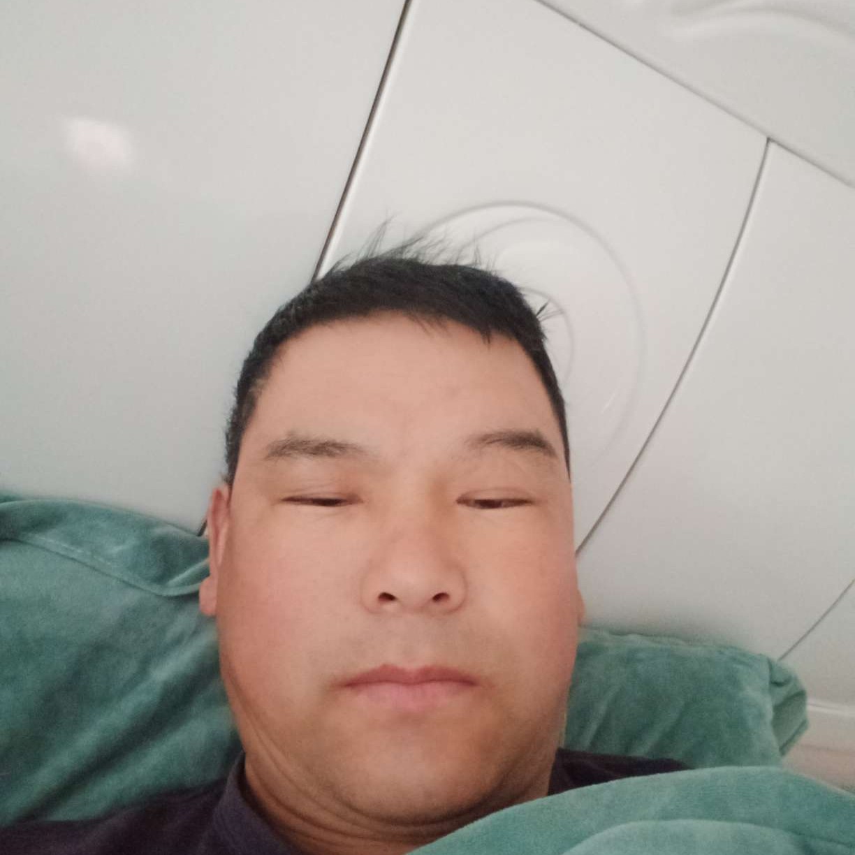 野狼演变无限的照片