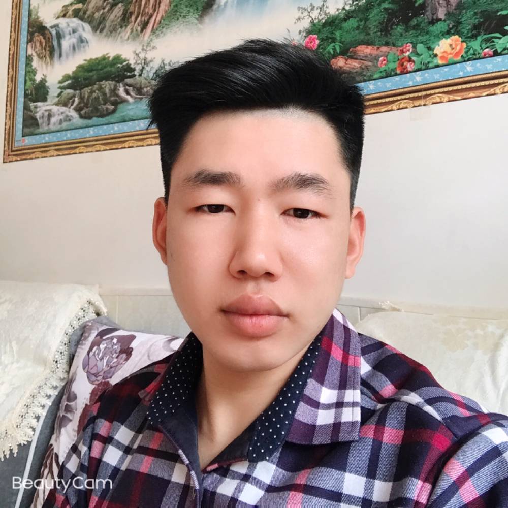 烂漫猎豹的照片