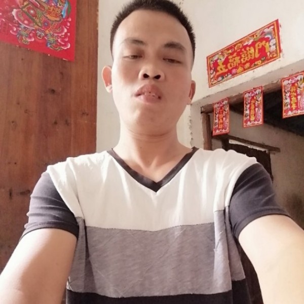 追寻那火车的照片