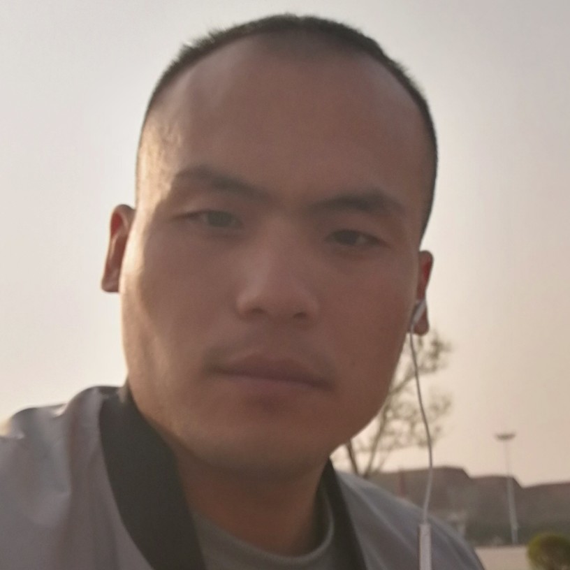 绿谷飞鸽的照片