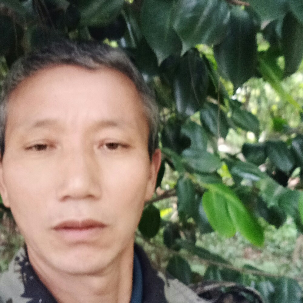 温婉玉米的照片