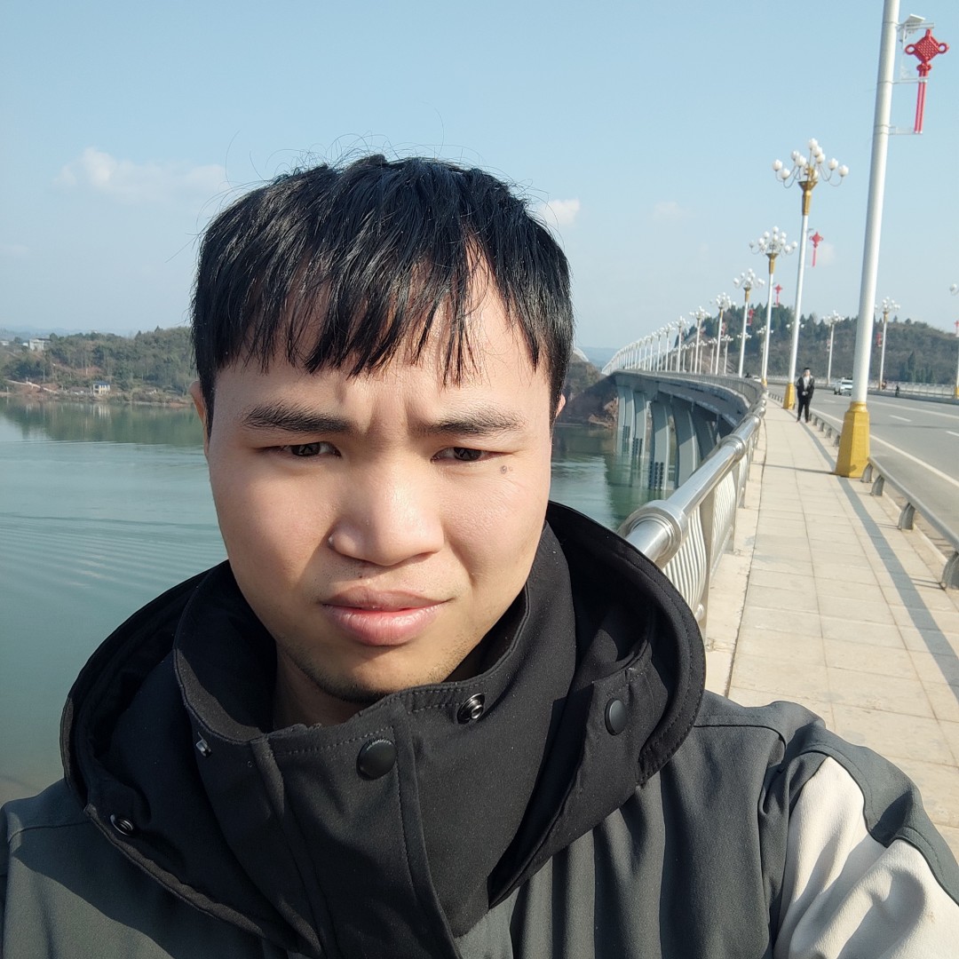 专注仙人掌的照片