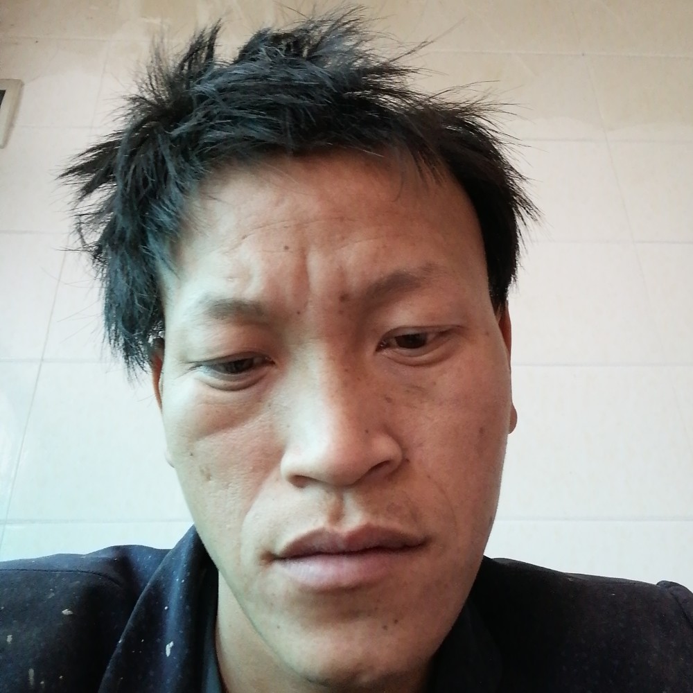 你在家吗的照片