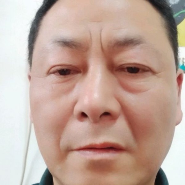 温柔演变蜜蜂的照片