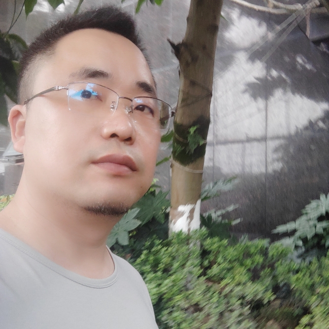 骑猪看海的照片