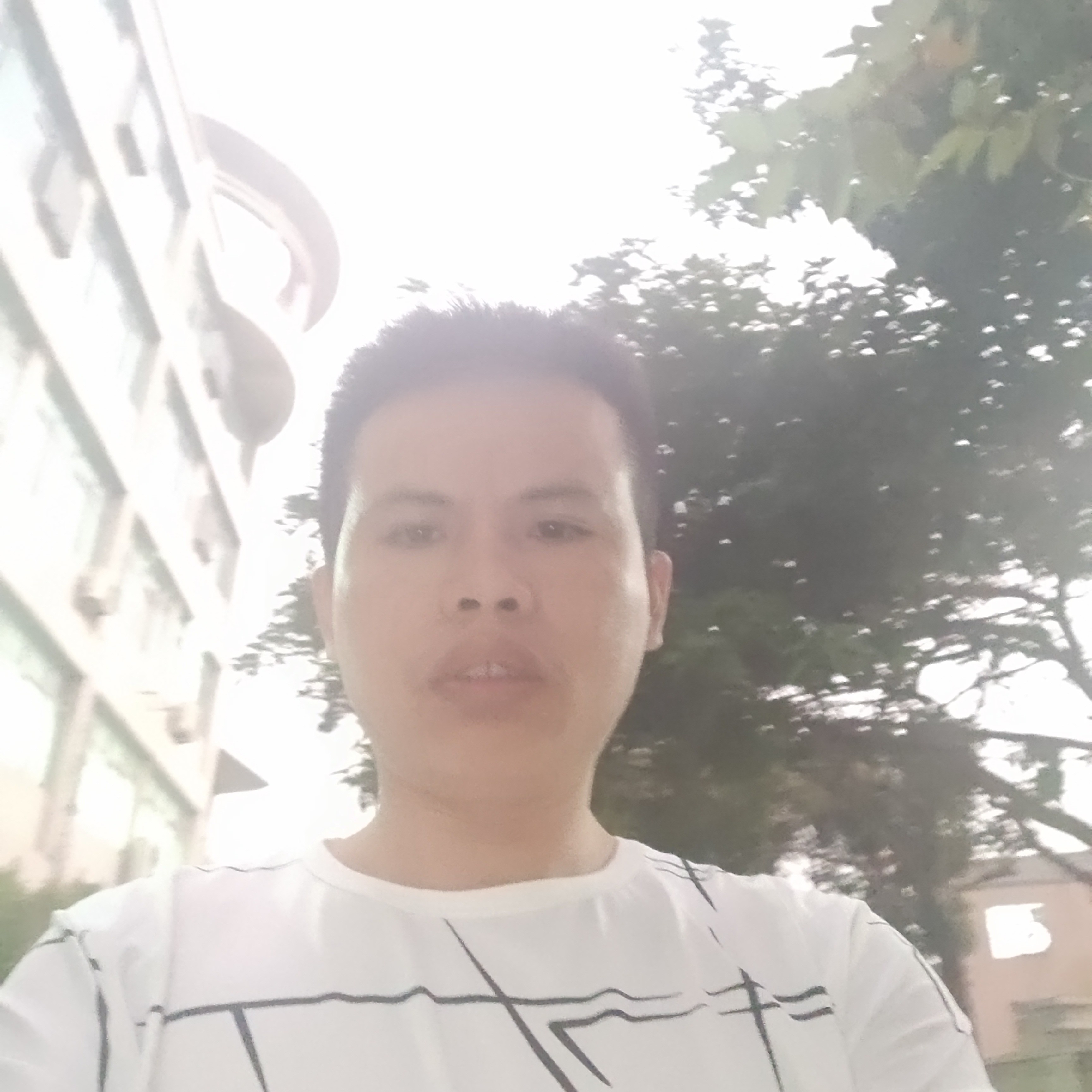 悦耳挽手羽毛的照片