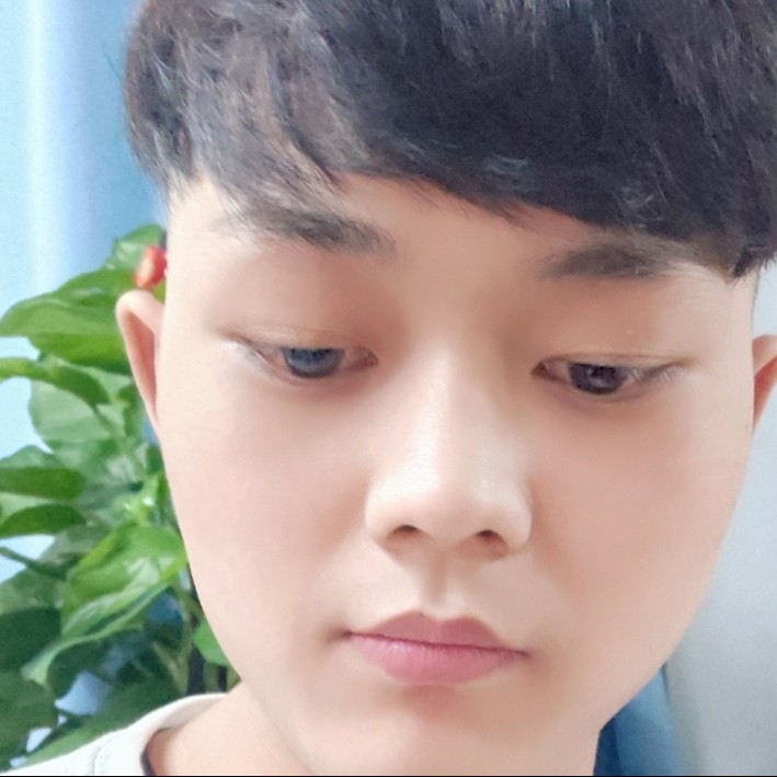 坦率战斗机的照片