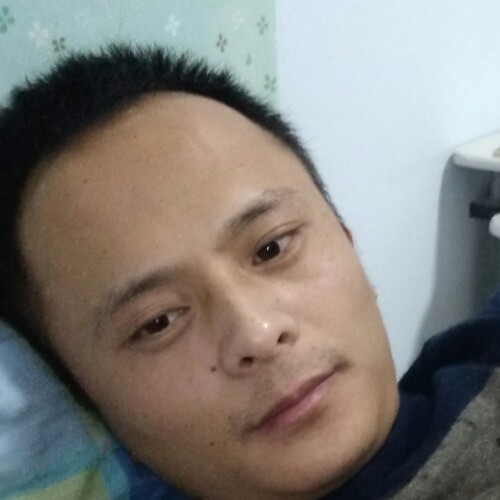 向日葵微笑☺☺☺的照片