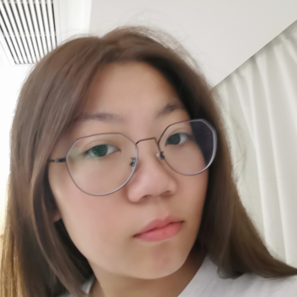 端庄的小熊猫的照片