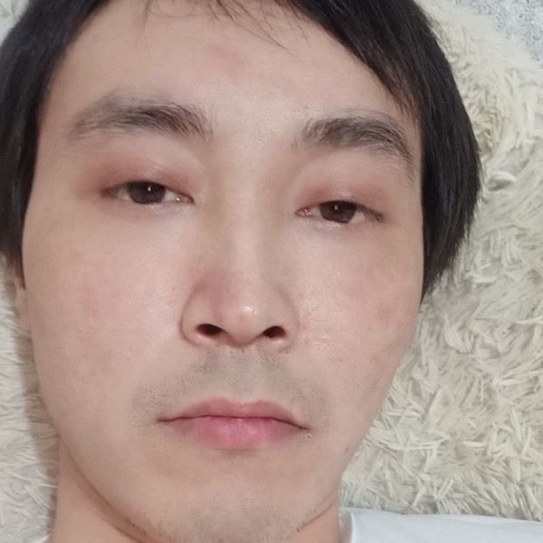 踏实有百合的照片