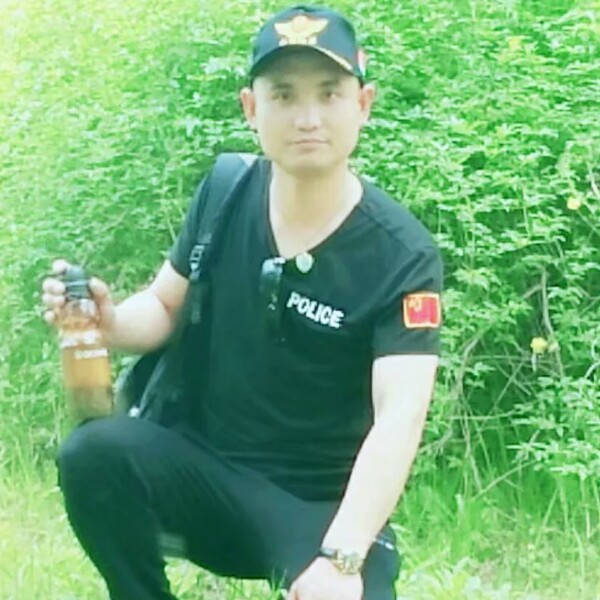 迷离康乃馨的照片