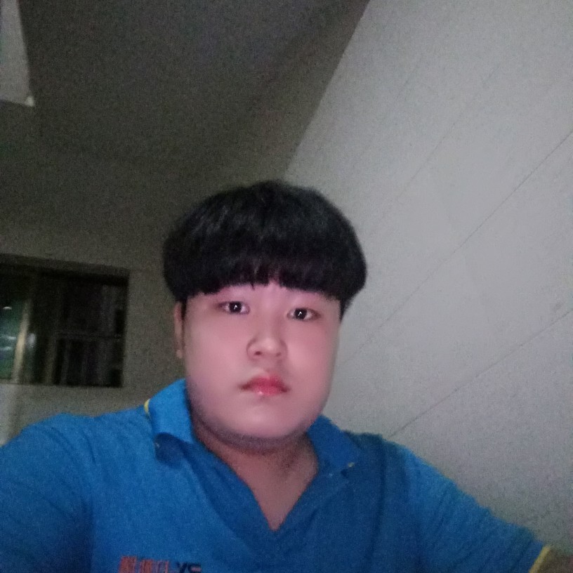 精明说猫咪的照片