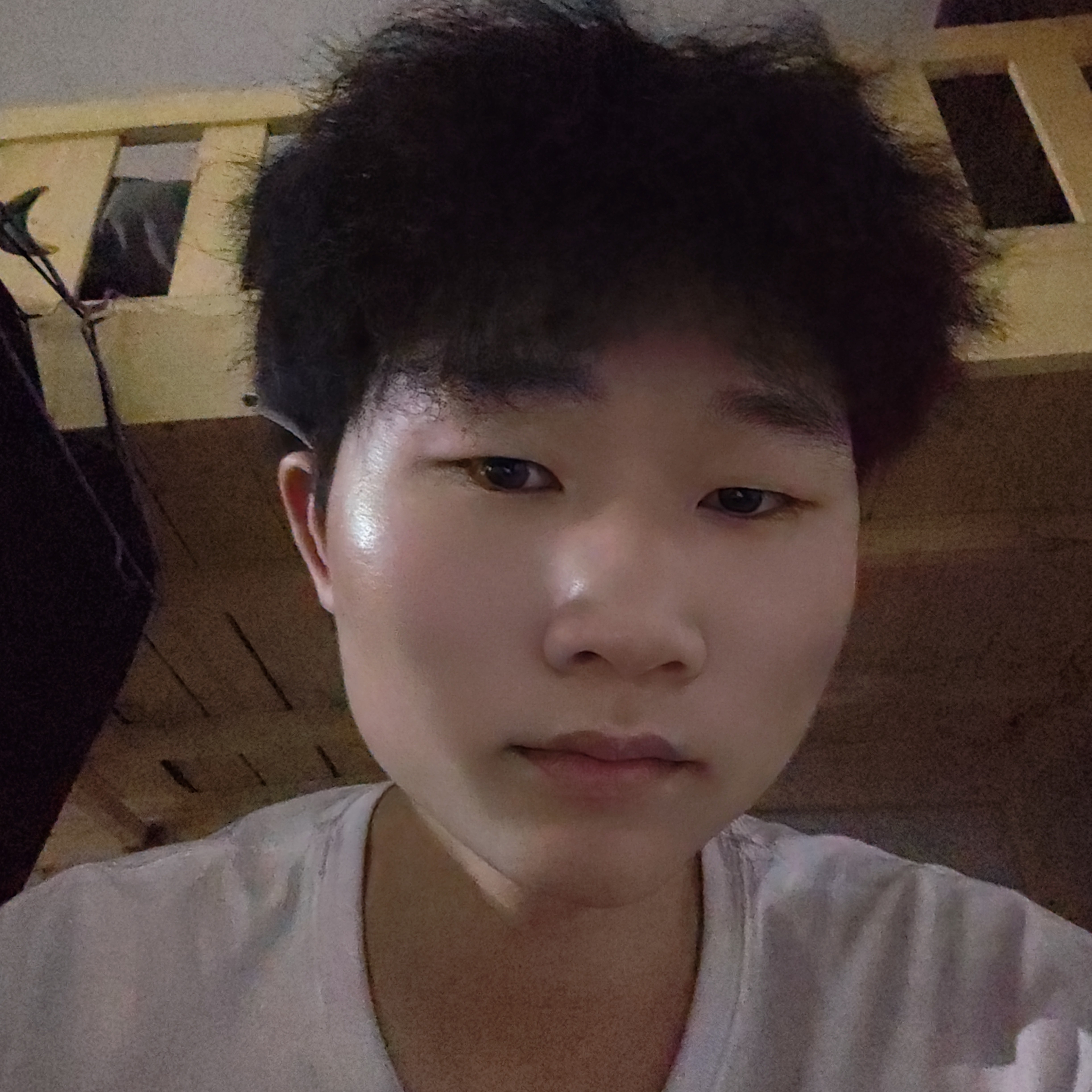 澈叶蓝凌的照片