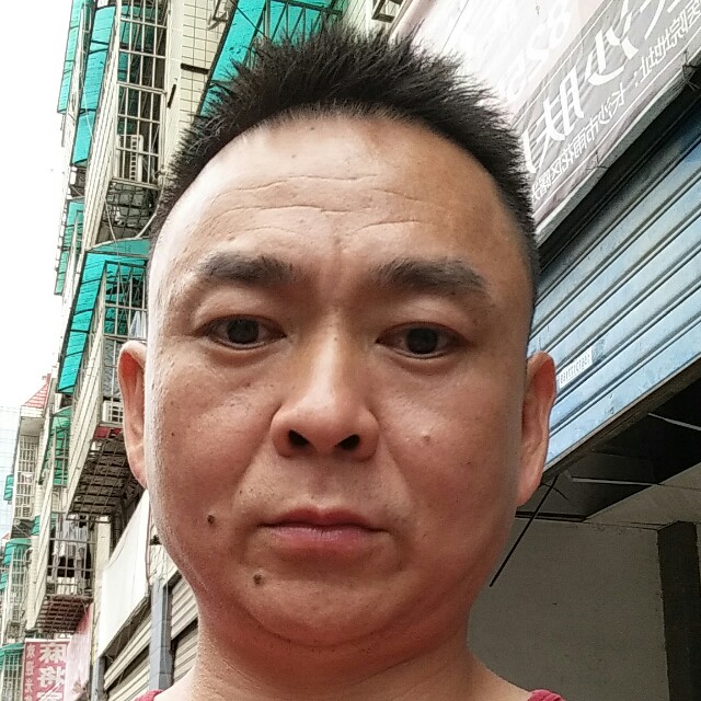 娇气演变羽毛的照片