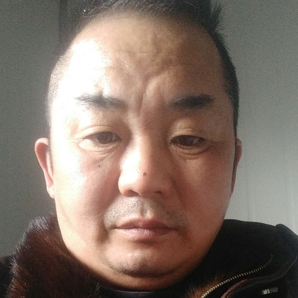 健壮含羞草明白。的照片