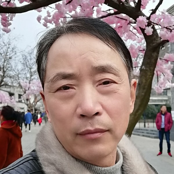 称心倾心孤心的照片