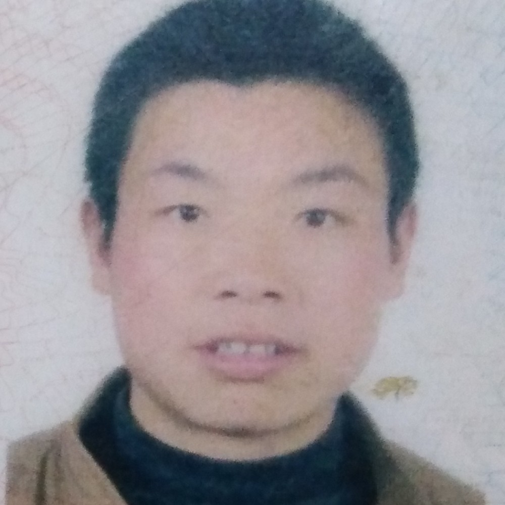 老实浅吻白昼的照片