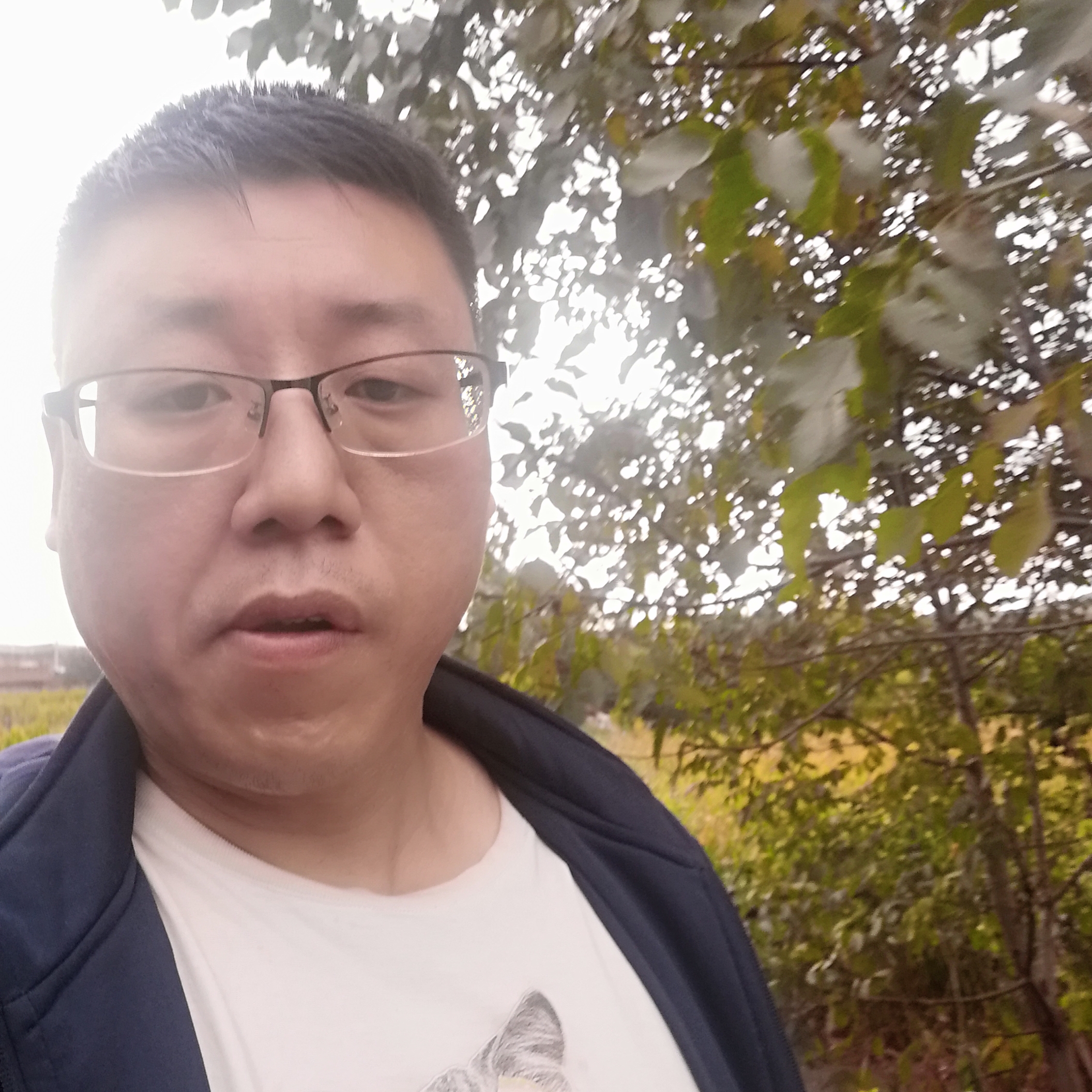 大碗错落的照片
