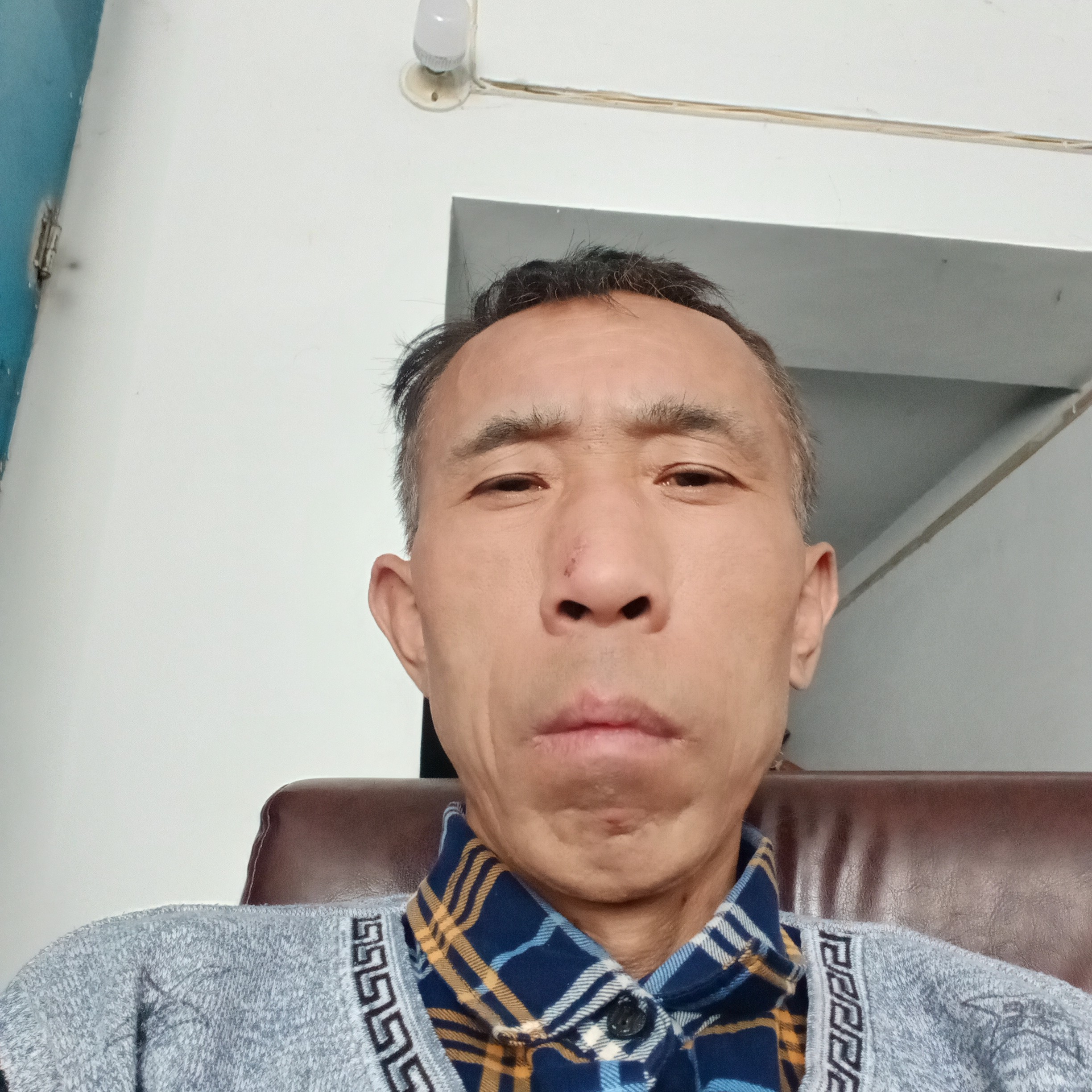 拼搏倾心绿茶的照片