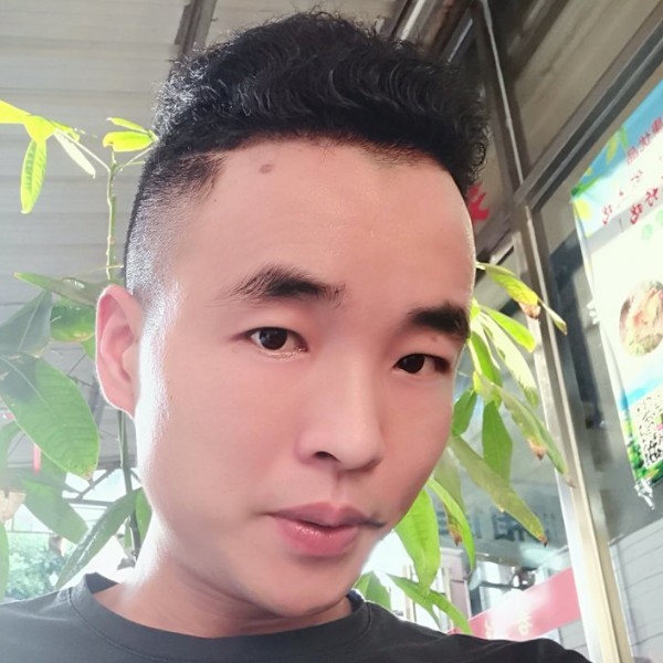 何宏伟的照片