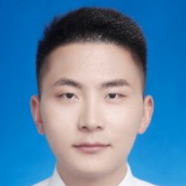 鲤鱼迎森槿的照片