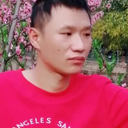 淡然倾心电灯胆的照片