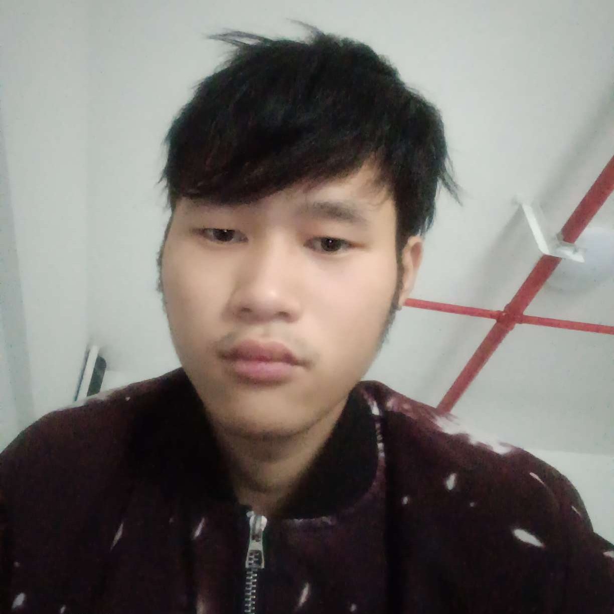 虚心迎花卷的照片