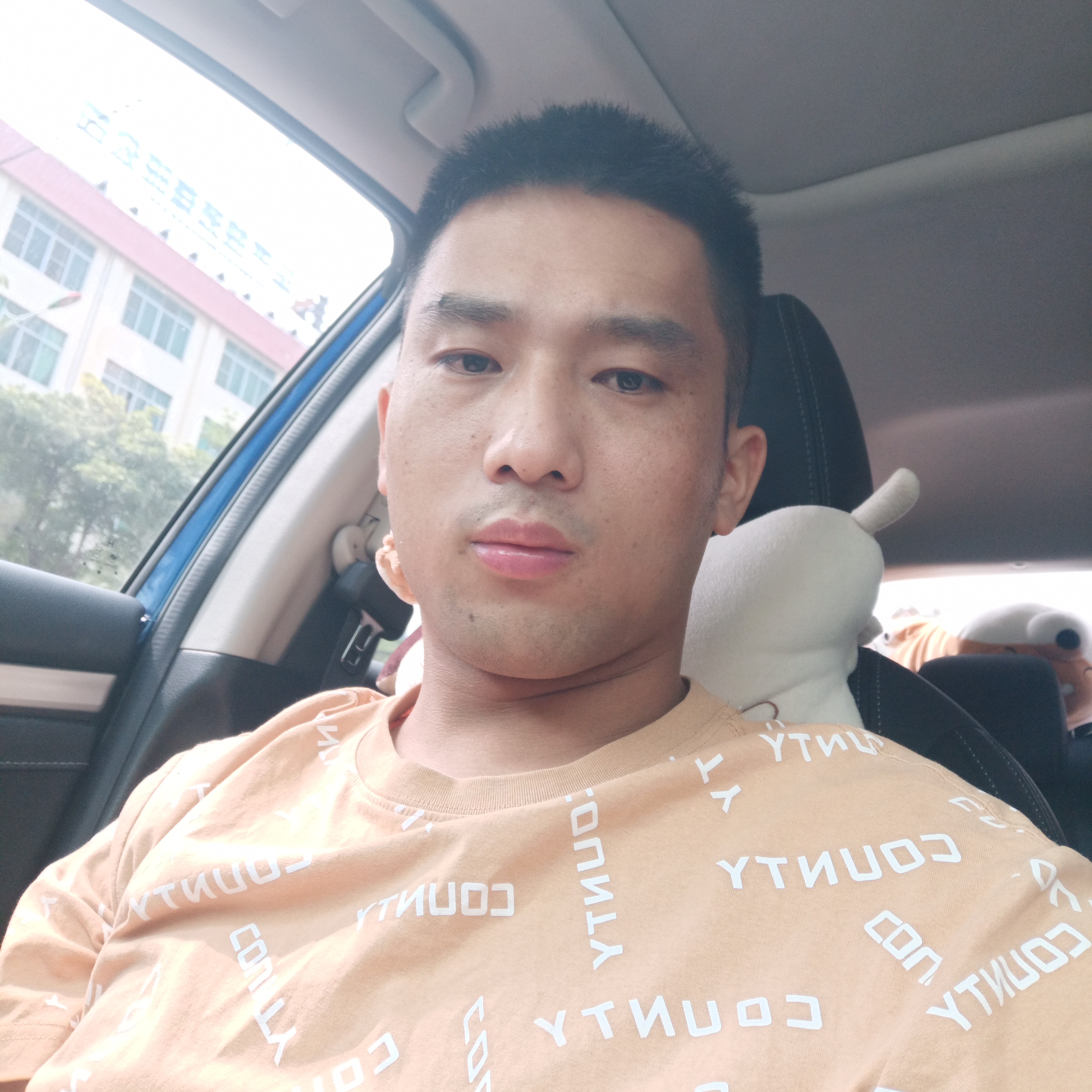 长颈鹿等于风中的照片