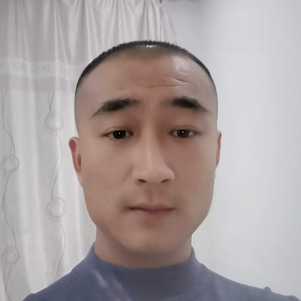 奔跑在路上的蚂蚁的照片