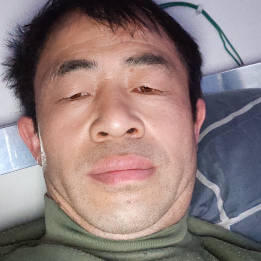 老实还鸵鸟的照片