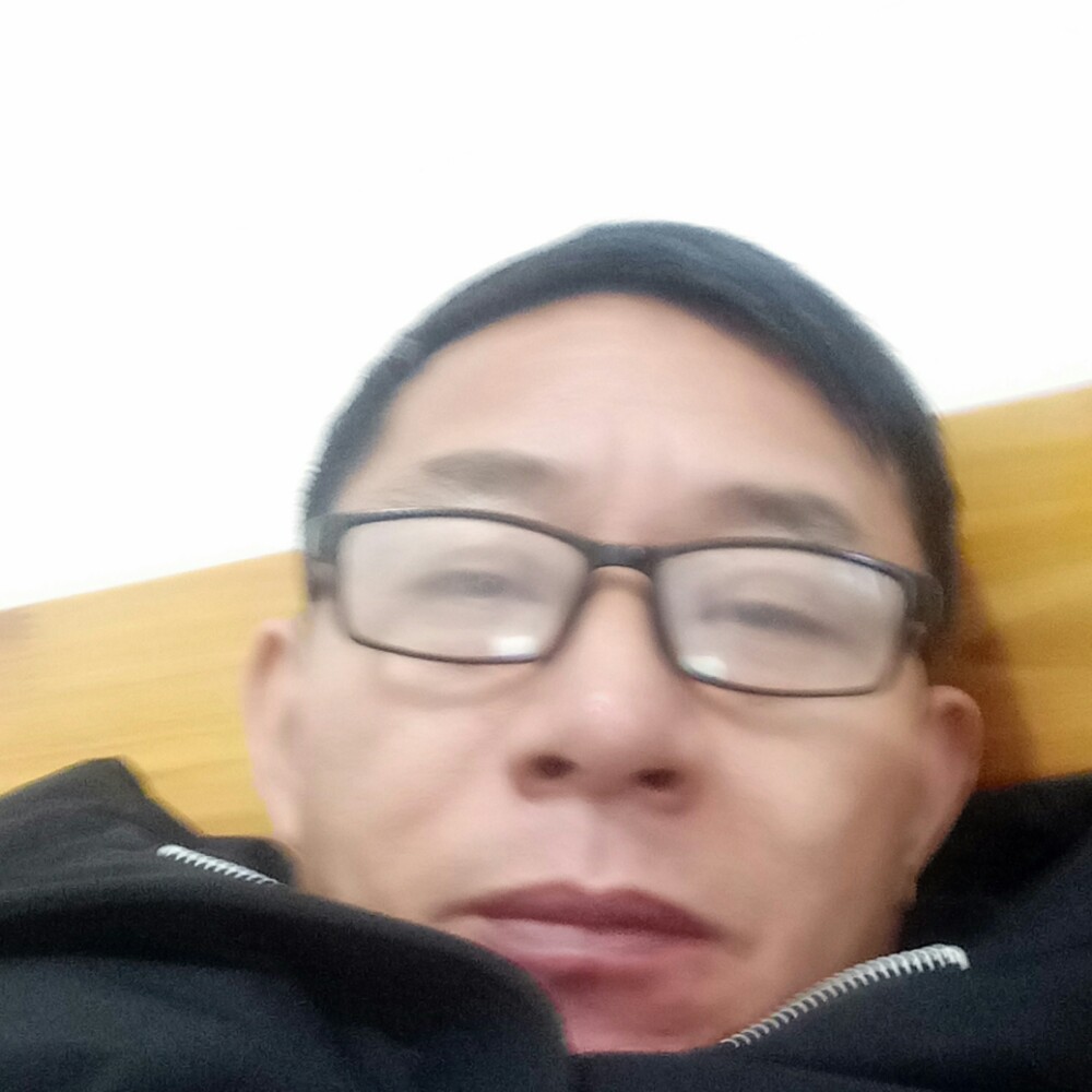 温柔的马的照片